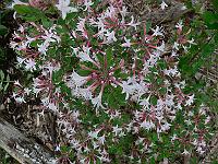 2011-05-26_16-22-32_0034