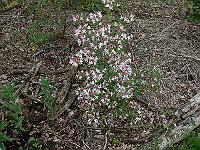 2011-05-26_16-23-27_0038