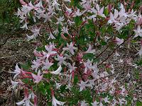 2011-05-27_16-43-36_0004