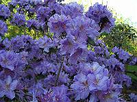 07-05-05kodak_011