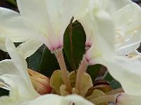 07-04-2007_17-51-07_05