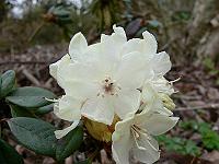 08-04-2007_09-29-20_01