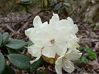 08-04-2007_09-29-25_02