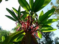 04-08-2006_09-19-40_52