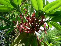 04-08-2006_18-18-07_64