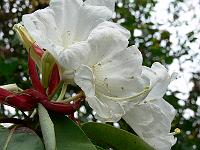21-07-2006_09-17-15_84