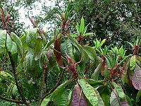 28-07-2006_09-09-06_35