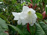 28-07-2006_09-09-36_43