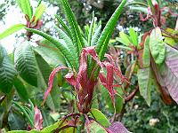 28-07-2006_09-10-30_51