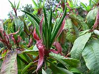 28-07-2006_09-10-42_54
