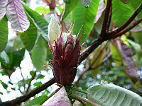 28-07-2006_09-10-50_56