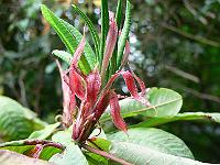 28-07-2006_09-10-58_58