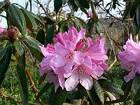 2009-04-10_07-11-17_0038