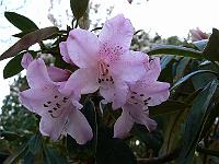 21-04-2007_09-02-53_01