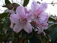 21-04-2007_09-03-03_03