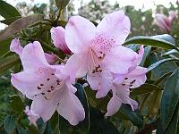21-04-2007_09-03-23_08