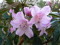 21-04-2007_09-03-27_09