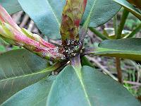 22-05-2007_19-46-12_23