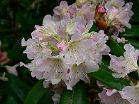 17-06-2007_19-09-52_40