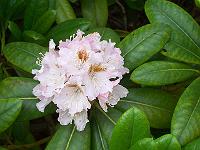 29-05-05kodak_258