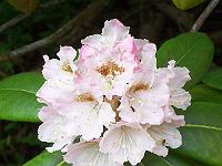 29-05-05kodak_262