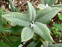 28-05-2007_11-55-05_105