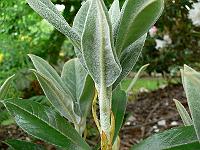 28-05-2007_11-55-08_106