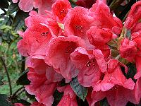 21-05-2006_20-46-43_69
