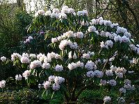 04-05-2006_08-00-09_126