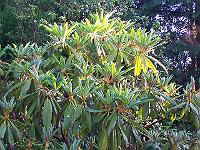 24-05-05kodak_067