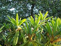 24-05-05kodak_070