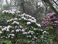 26-04-2006_11-05-02_75