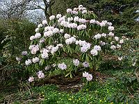 26-04-2006_16-34-05_81