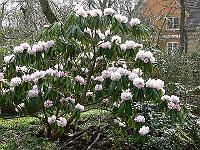 26-04-2006_16-35-07_98