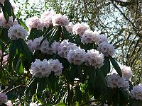 28-04-2006_09-10-39_23