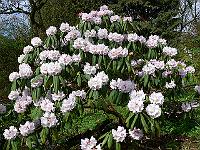 28-04-2006_16-01-57_36