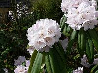 28-04-2006_16-02-05_38