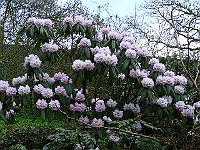 29-04-2006_06-23-30_27