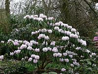 29-04-2006_18-25-03_47