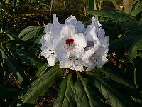 01-04-2007_09-03-22_04