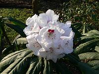 01-04-2007_09-03-26_05