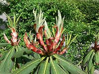 04-06-2006_11-05-47_62