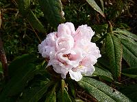 18-04-2006_08-51-26_31