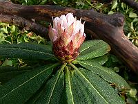18-04-2006_08-52-03_41