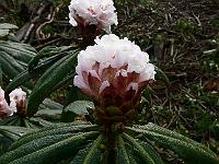 18-04-2006_08-52-46_53