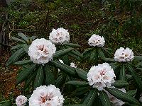 21-04-2006_09-00-55_41