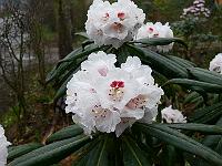 21-04-2006_09-01-12_46
