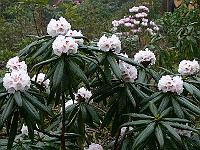 21-04-2006_09-02-58_74