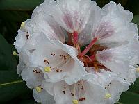 22-04-2006_07-19-39_153