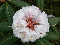 22-04-2006_07-19-52_156